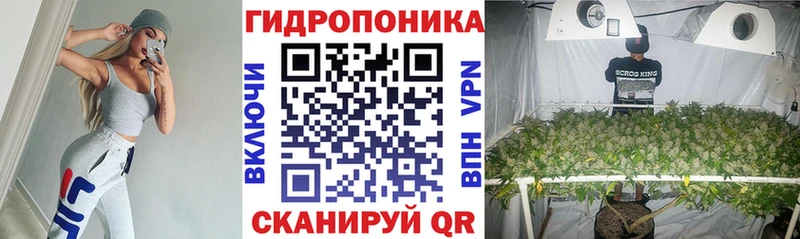 Шишки марихуана марихуана  Яхрома 